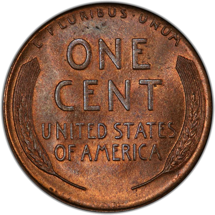 1909-S VDB wheat side with V.D.B. at the bottom
